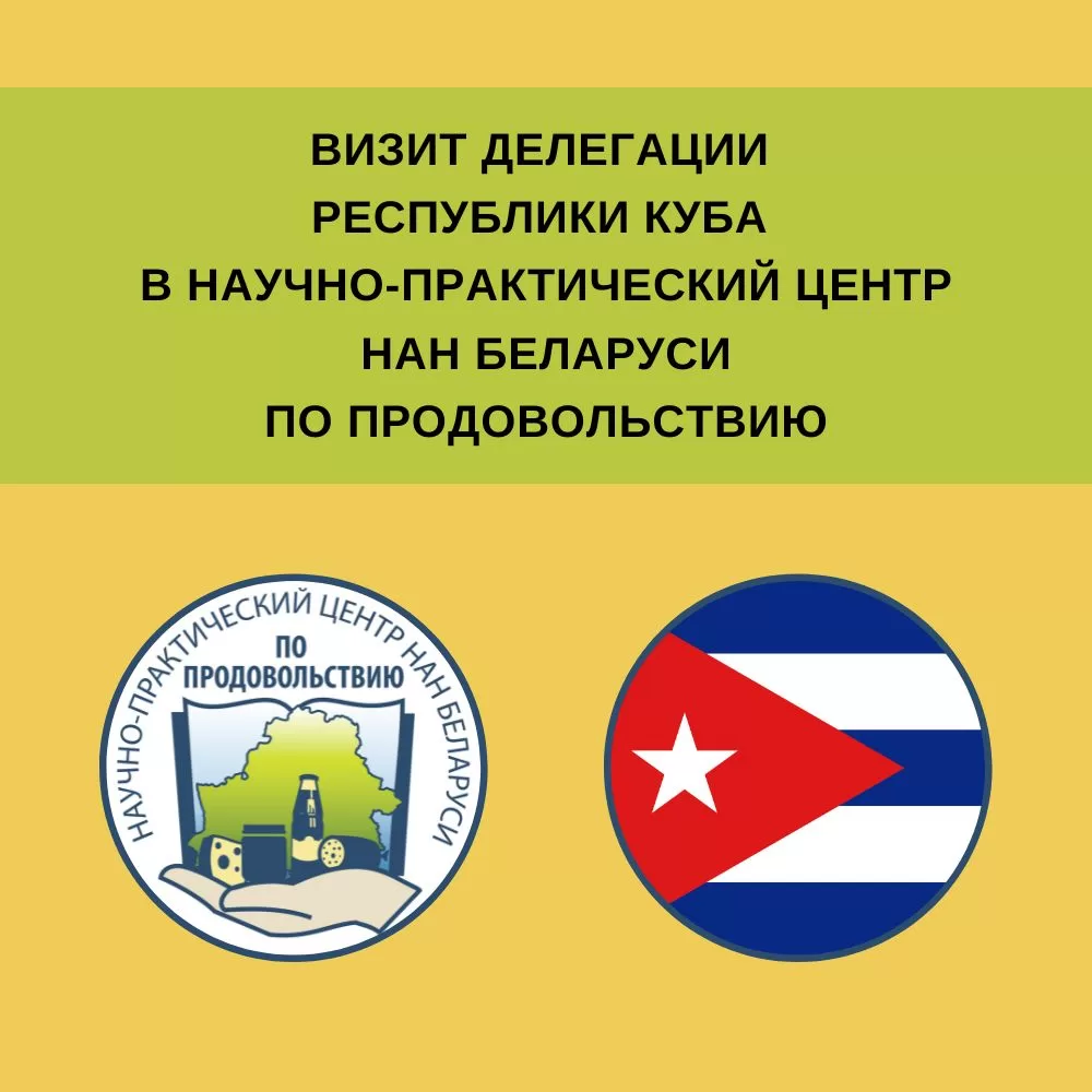 Read more about the article Визит делегации министерств и ведомств Республики Куба в Научно-практический центр НАН Беларуси по продовольствию